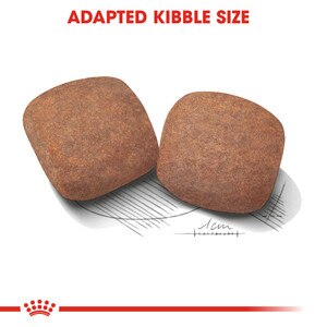 ROYAL CANIN® Giant Adult 15kg